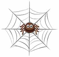 Bezpłatny wektor pająk na pajęczynie