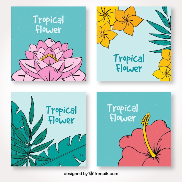 Pakiet Ręcznie Narysowanych Kwiatów Tropikalnych Kart