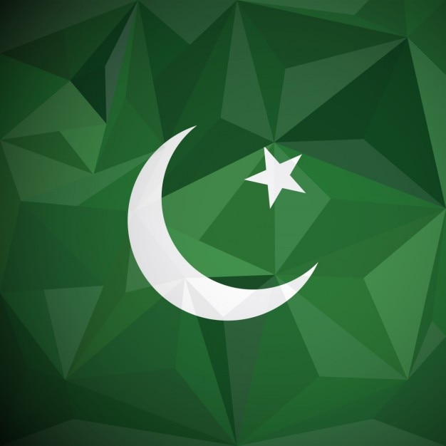 Bezpłatny wektor pakistan geometryczne tło