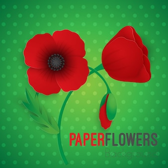 Papierowy kwiat realistyczny styl ilustracji wektorowych pełnych i wciąż kwitnących czerwonych maków z łodygą i liściem na tle zielonych kropek