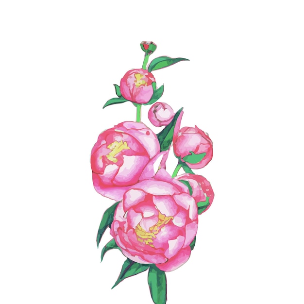Piękna Ilustracja Kwiat Akwareli