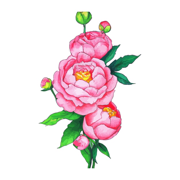 Bezpłatny wektor piękna ilustracja kwiat akwareli