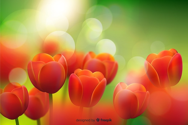 Piękno Realistyczne Tulipany Tło