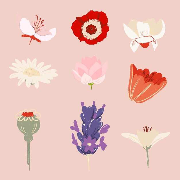 Piękny kwiatowy zestaw kolorowych naklejek z ilustracjami