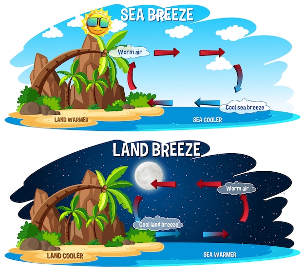 Bezpłatny wektor plakat naukowy dla bryzy morskiej i lądowej