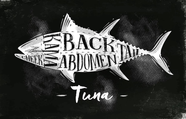 Plakat schemat cięcia tuńczyka napis policzek kama brzuch tył ogon w stylu vintage