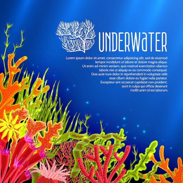 Bezpłatny wektor plakat underwater corals