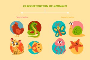 Płaska klasyfikacja zwierząt infografiki