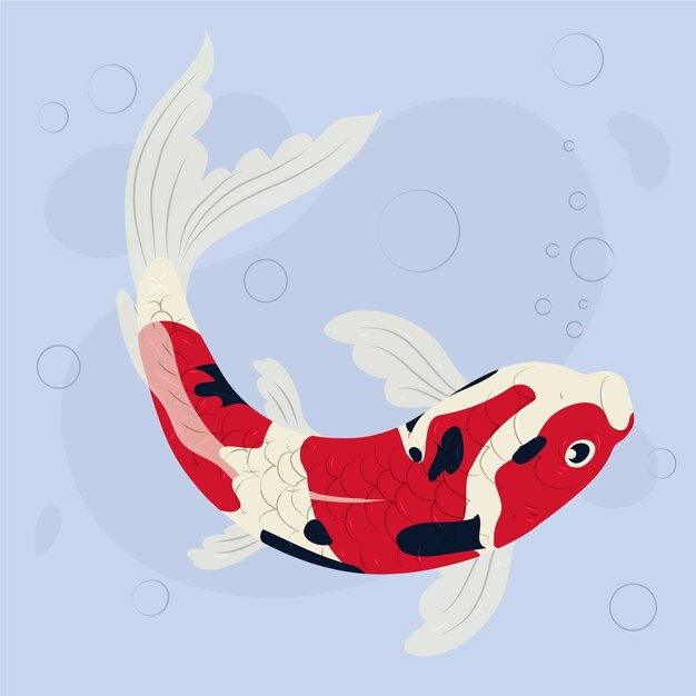 Płaska konstrukcja ilustracji ryb koi