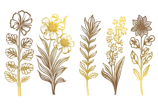 Bezpłatny wektor płaska, złota, ręcznie rysowana kolekcja wiosennych kwiatów