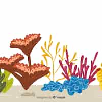 Bezpłatny wektor płaskie koralowe tło