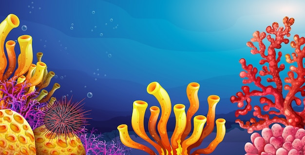 Podwodna scena z rafą koralowa i jeżowcem