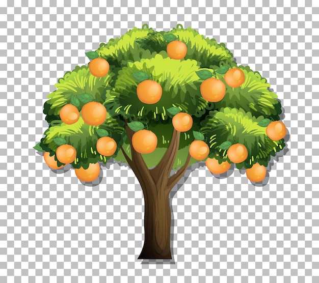 Bezpłatny wektor pomarańczowe drzewo na przezroczystym tle