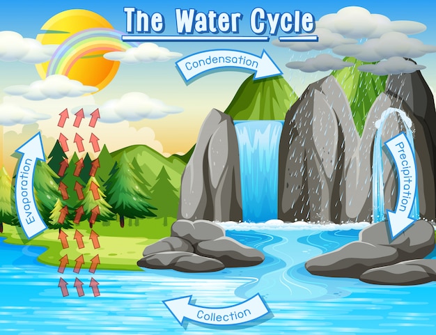 Bezpłatny wektor proces obiegu wody na ziemi