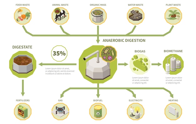 Bezpłatny wektor proces produkcji energii elektrycznej z biogazu izometryczny infografiki z rodzajami odpadów organicznych fermentacji beztlenowej pofermentu 3d ilustracji wektorowych