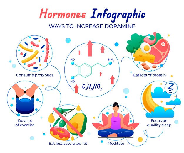 Projekt infograficzny gradientowych hormonów