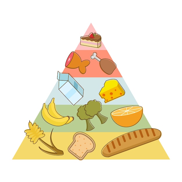 Bezpłatny wektor projekt piramidy żywieniowej