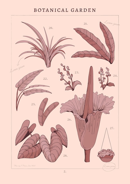 Projekt plakatu ogrodu botanicznego