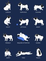 Bezpłatny wektor psy emocje język ciała zestaw ilustracji wektorowych płaski na białym tle