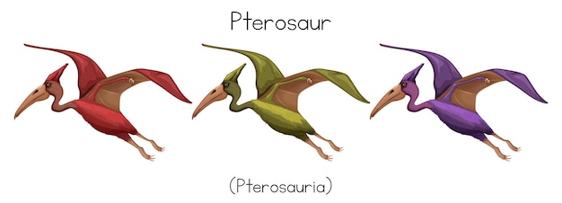 Bezpłatny wektor pterozaur w trzech kolorach