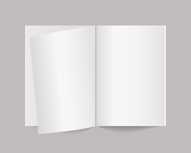 Książka Lub Broszura Zawierająca Szczegółowe Dane Z Jakiejś Dziedziny Pusty Otwarty Magazyn, Książka, Notatnik, Broszura, Broszura Lub