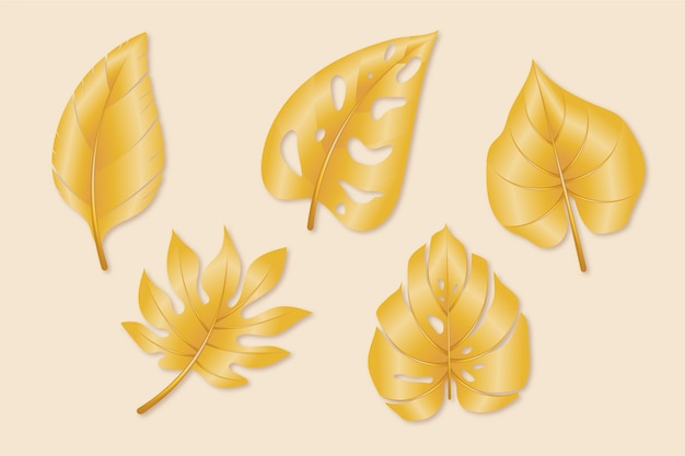 Bezpłatny wektor realistyczna ilustracja złotych liści