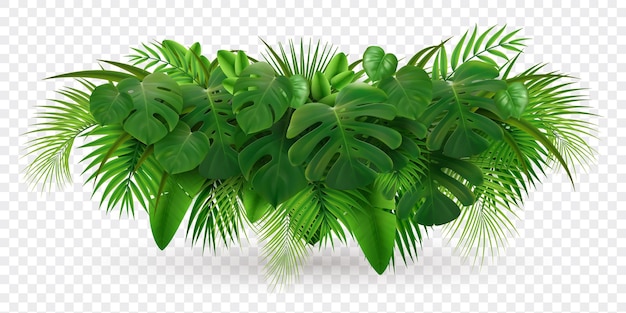 Realistyczna kompozycja tropikalnych liści palmowych z obrazem stosu zielonych liści na białym tle
