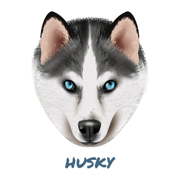 Realistyczna Psiego husky portreta ilustracja