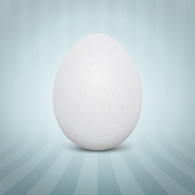 realistyczne białe jajko