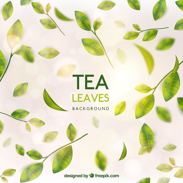 Realistyczne liście herbaty tła