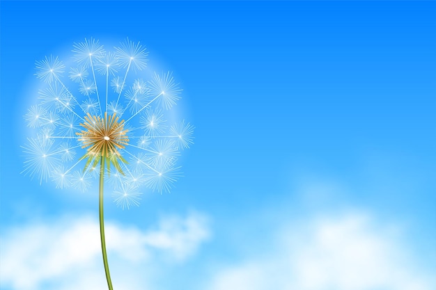 Bezpłatny wektor realistyczne nasiona kwiatów mniszka lekarskiego w niebieskim tle z wektorem chmur
