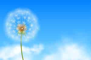 Bezpłatny wektor realistyczne nasiona kwiatów mniszka lekarskiego w niebieskim tle z wektorem chmur