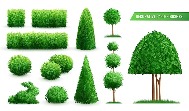 Realistyczne ozdobne krzewy ogrodowe zestaw ikon z różnymi kształtami stylów i typów ilustracji wektorowych