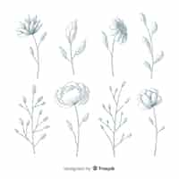 Bezpłatny wektor realistyczne ręcznie rysowane kwiaty z łodygami i liśćmi w niebieskich odcieniach