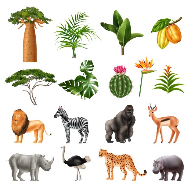 Realistyczny afrykański zestaw izolowanych ikon z owocami roślin tropikalnych i obrazami dzikich egzotycznych zwierząt ilustracji wektorowych