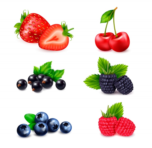 Realistyczny zestaw owoców jagodowych z odizolowanymi kolorowymi obrazami jagód posortowanymi według różnych gatunków z cieniami