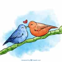 Bezpłatny wektor ręcznie malowany ptak pary