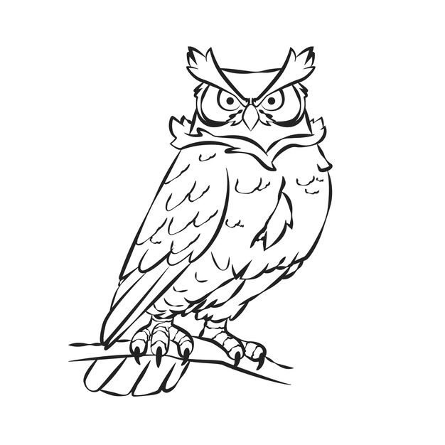 Ręcznie narysowana ilustracja konturów sowy