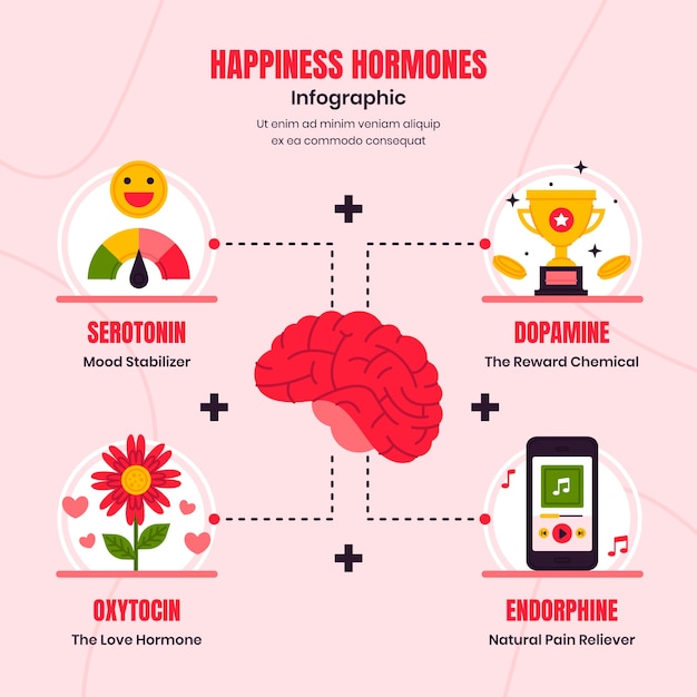 Ręcznie Narysowana Infografika Hormonów