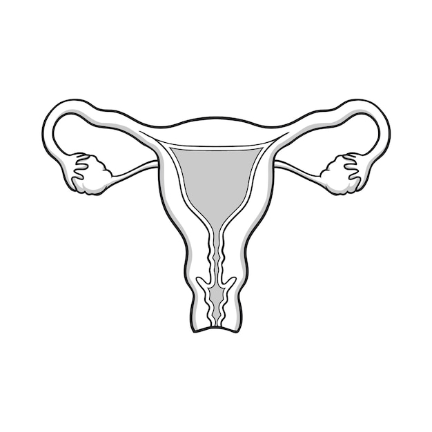 Bezpłatny wektor ręcznie narysowany rysunek macicy