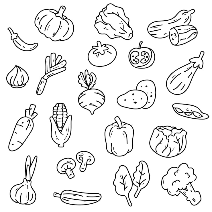 Bezpłatny plik Wektor ręcznie narysowany zestaw warzyw doodle doodle ilustracja