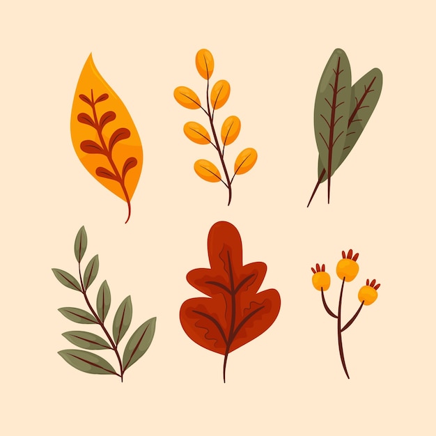 Ręcznie rysowana kolekcja jesiennych liści