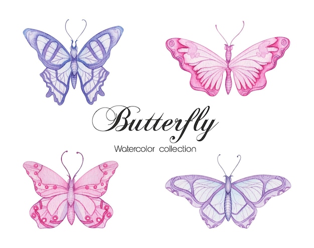 Bezpłatny wektor ręcznie rysowane akwarela kolekcja motyli