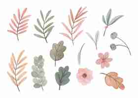 Bezpłatny wektor ręcznie rysowane akwarelowe kwiaty i liście zestaw artystyczny