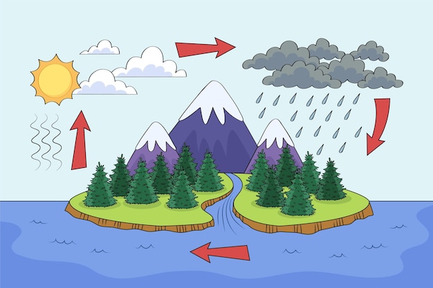 Bezpłatny wektor ręcznie rysowane ilustracja cyklu wody