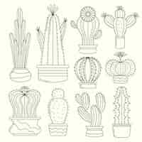 Bezpłatny wektor ręcznie rysowane ilustracja kaktusa