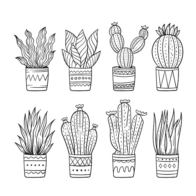 Bezpłatny wektor ręcznie rysowane ilustracja kaktusa