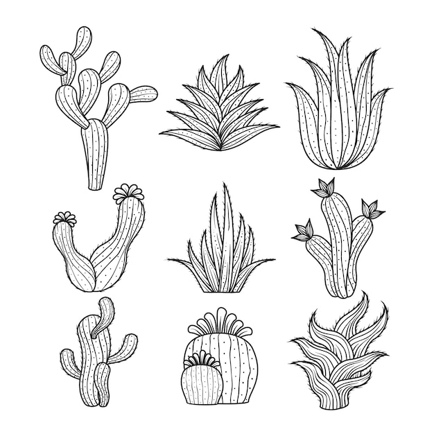 Ręcznie rysowane ilustracja kontur kaktusa