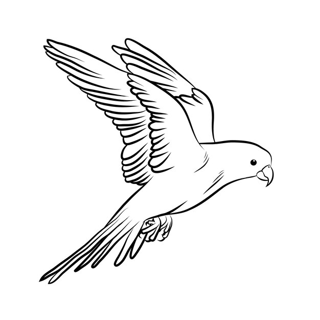 Ręcznie rysowane ilustracja kontur ptaka