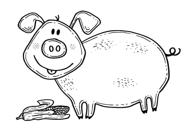 Ręcznie Rysowane Ilustracja Kontur świni